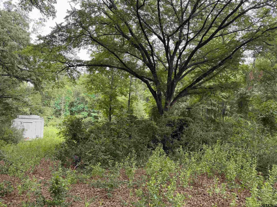 10490 Browning Street, Brownsboro, TX 75756 - #2