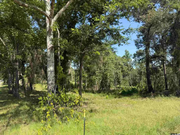 000 Cr 4218 15 Acre, Jacksonville,  75766