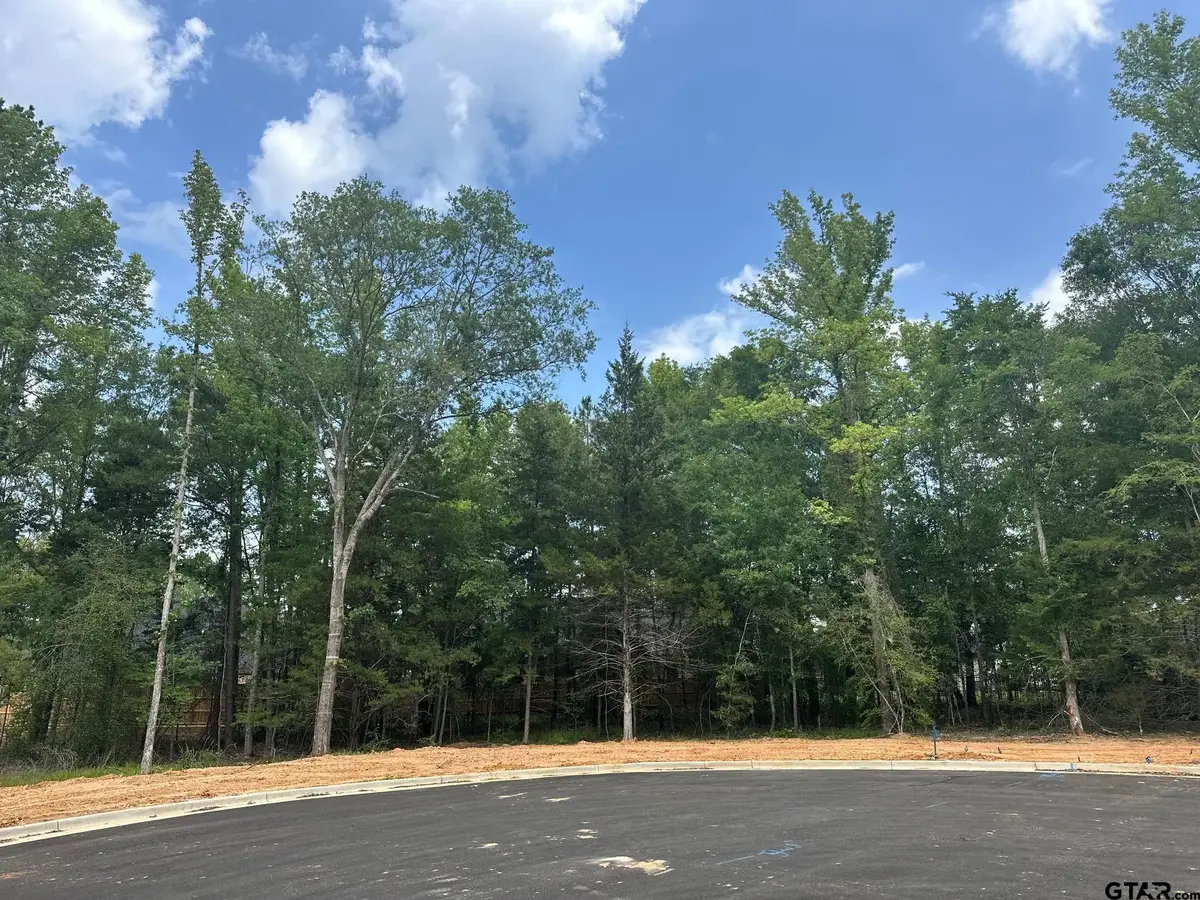2405 Bent Creek Trail, Tyler, TX 75703 - #1