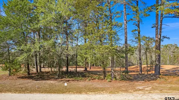 8741 Wilder Trail, Tyler,  75703