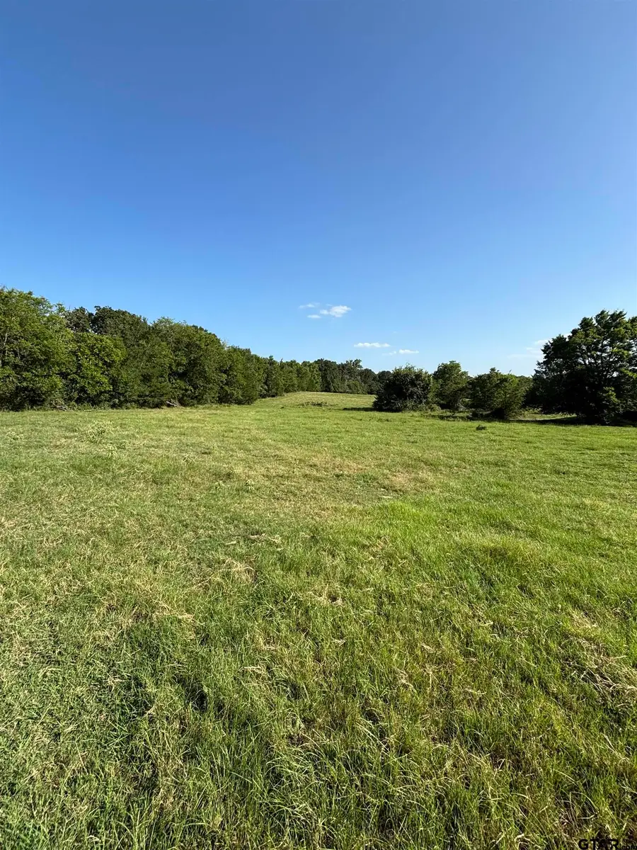 2689 An Cr, Athens, TX 75751 - #2
