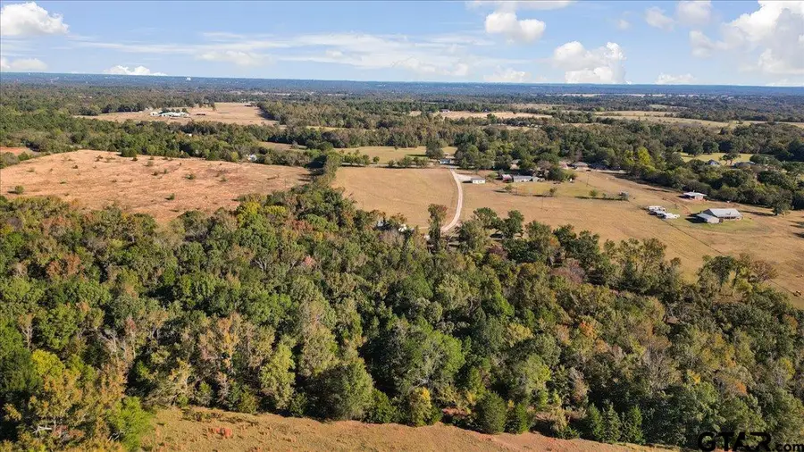 19669 County Road 431, Lindale, TX 75771 - #3