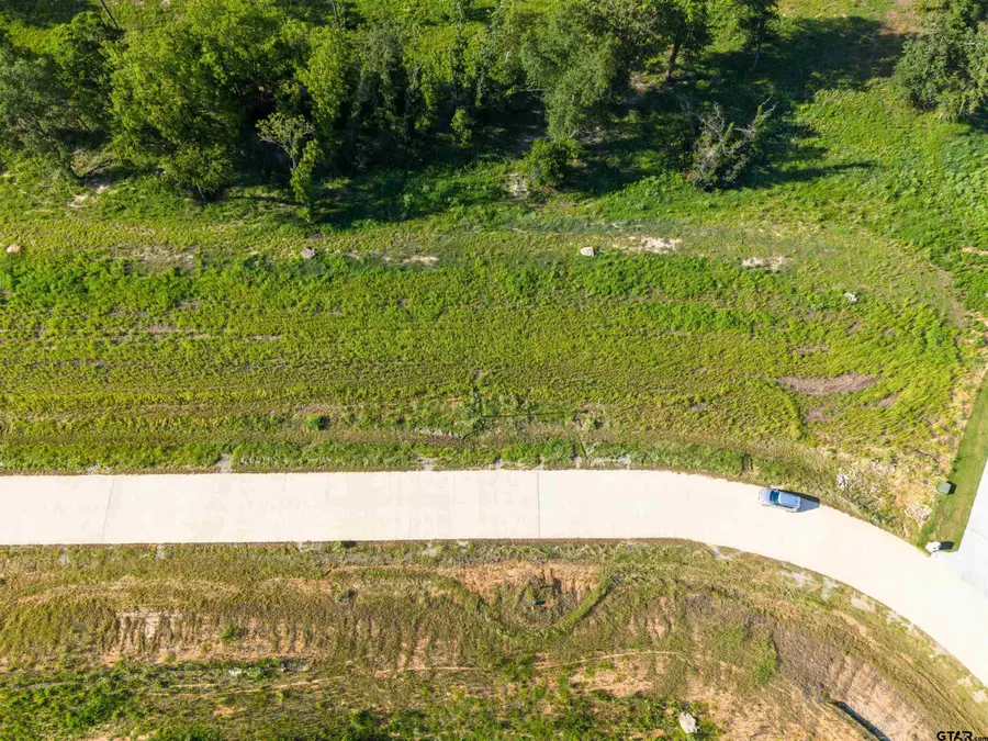 11032 Back Forty, Whitehouse, TX 75791 - #2