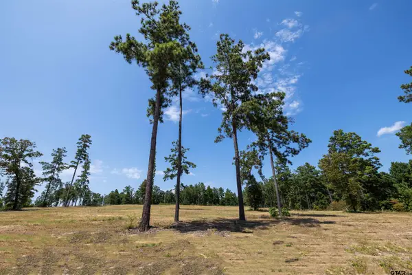 15482 Aniston Ln - (lot 28), Flint,  75762