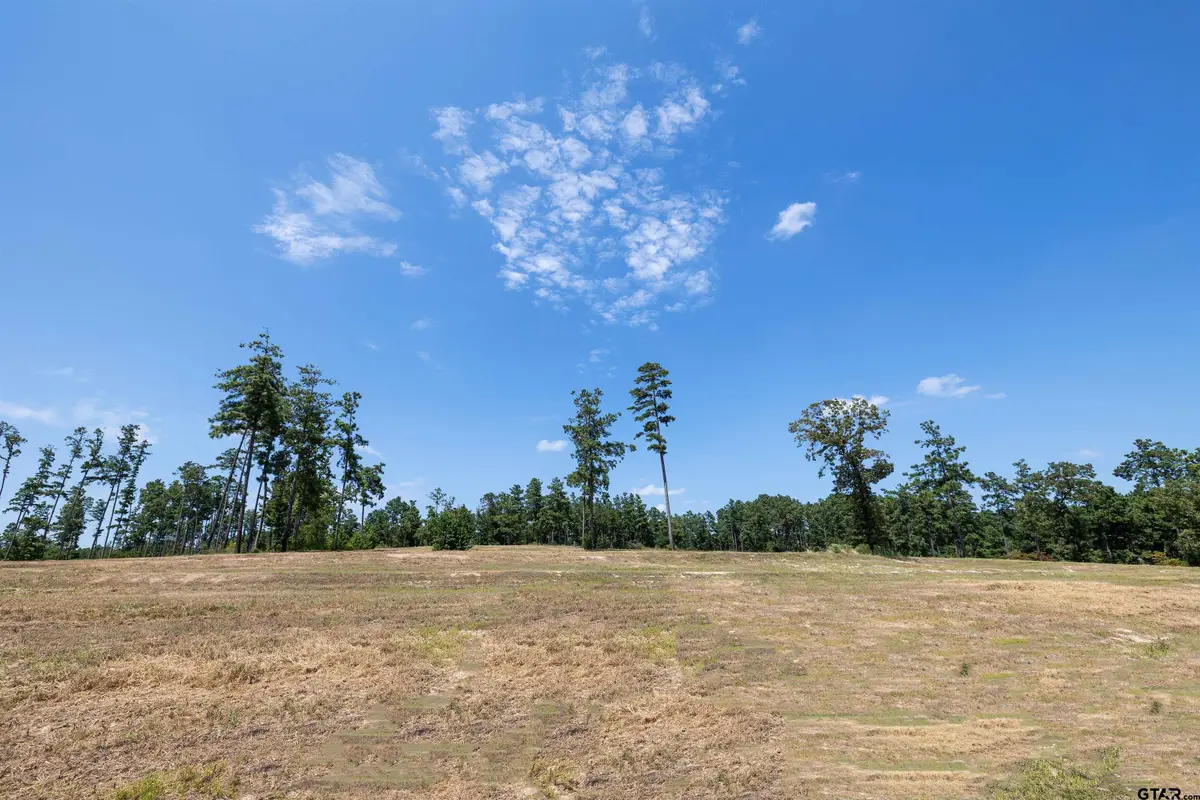 15538 Aniston Ln - (lot 27), Flint, TX 75762 - #1