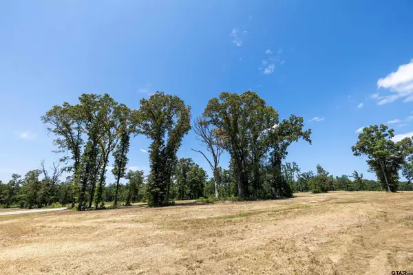 15640 Aniston Ln - (lot 25), Flint,  75762