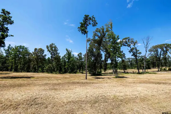15702 Aniston Ln - (lot 24), Flint,  75762
