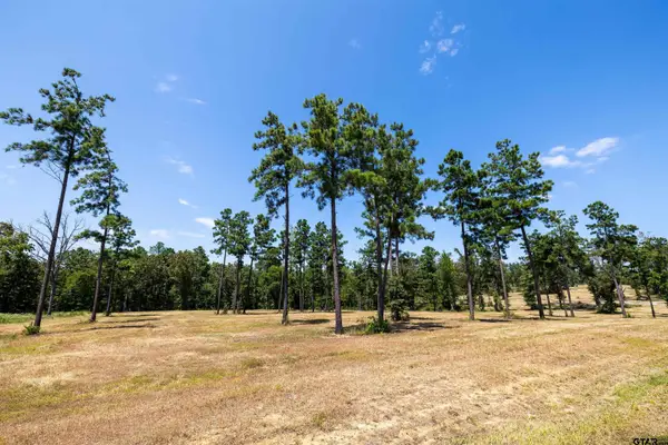 15756 Aniston Ln - (lot 23), Flint,  75762