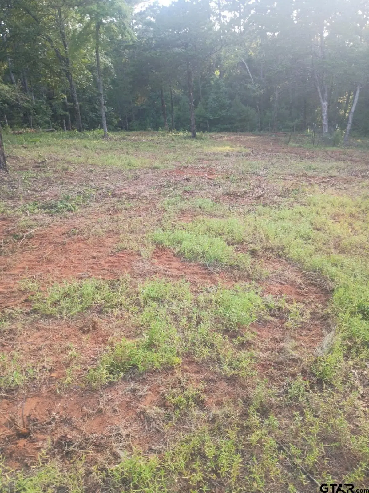 10717 C R 4149, Tyler, TX 75704 - #1