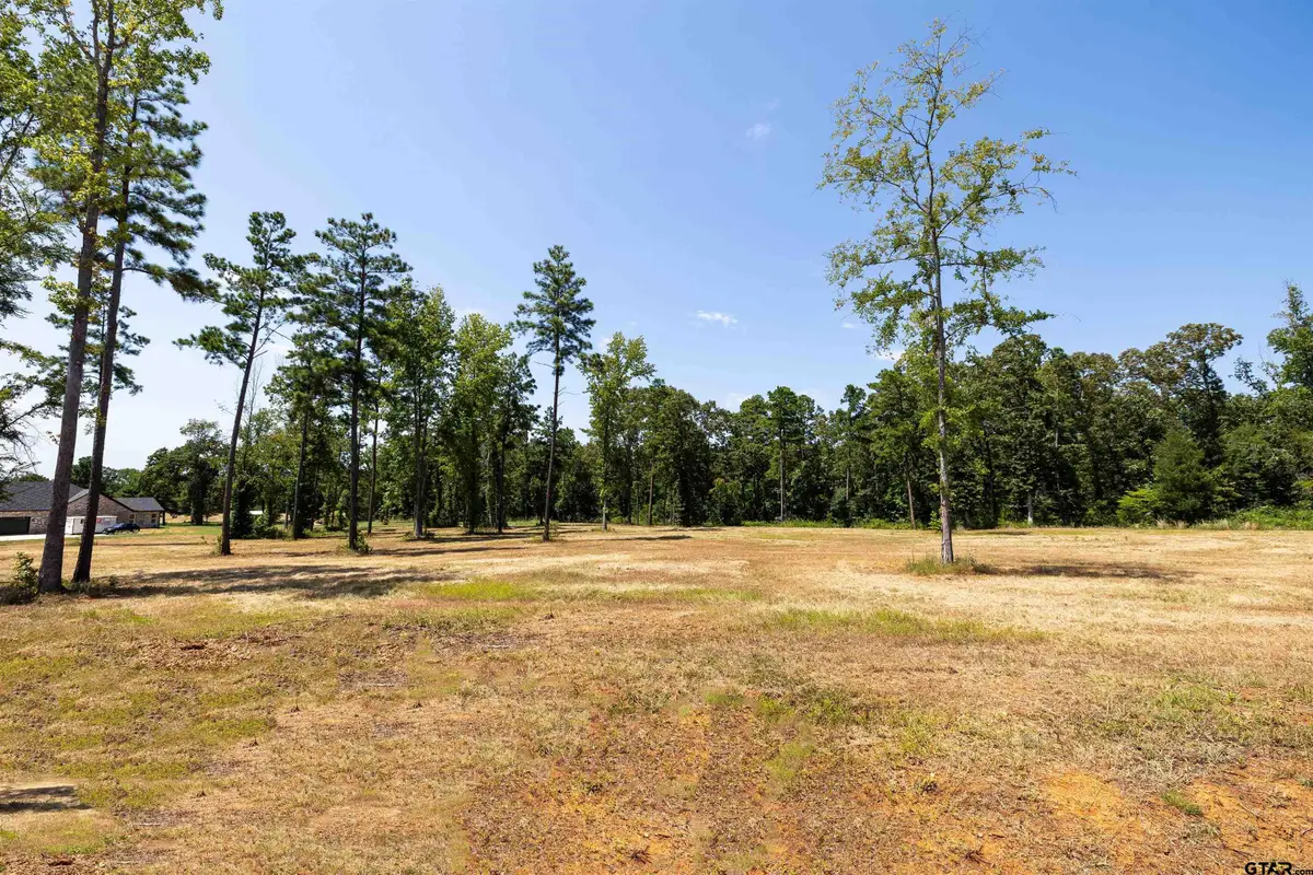15922 Aniston Ln - (lot 20), Flint, TX 75762 - #1