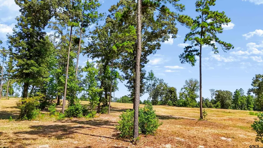15922 Aniston Ln - (lot 20), Flint, TX 75762 - #3
