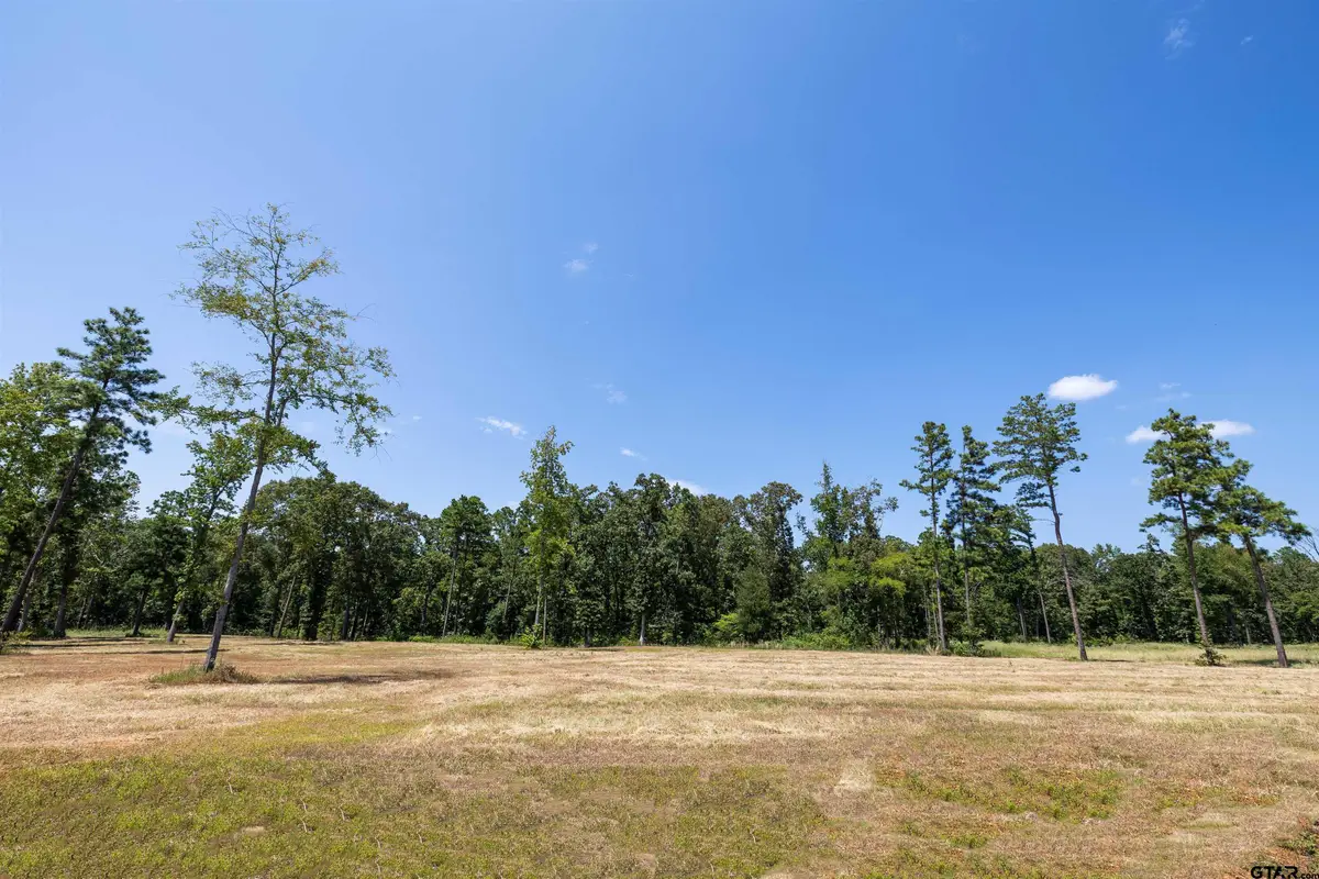 15868 Aniston Ln - (lot 21), Flint, TX 75762 - #1