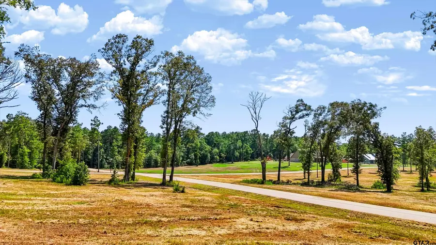 15868 Aniston Ln - (lot 21), Flint, TX 75762 - #3