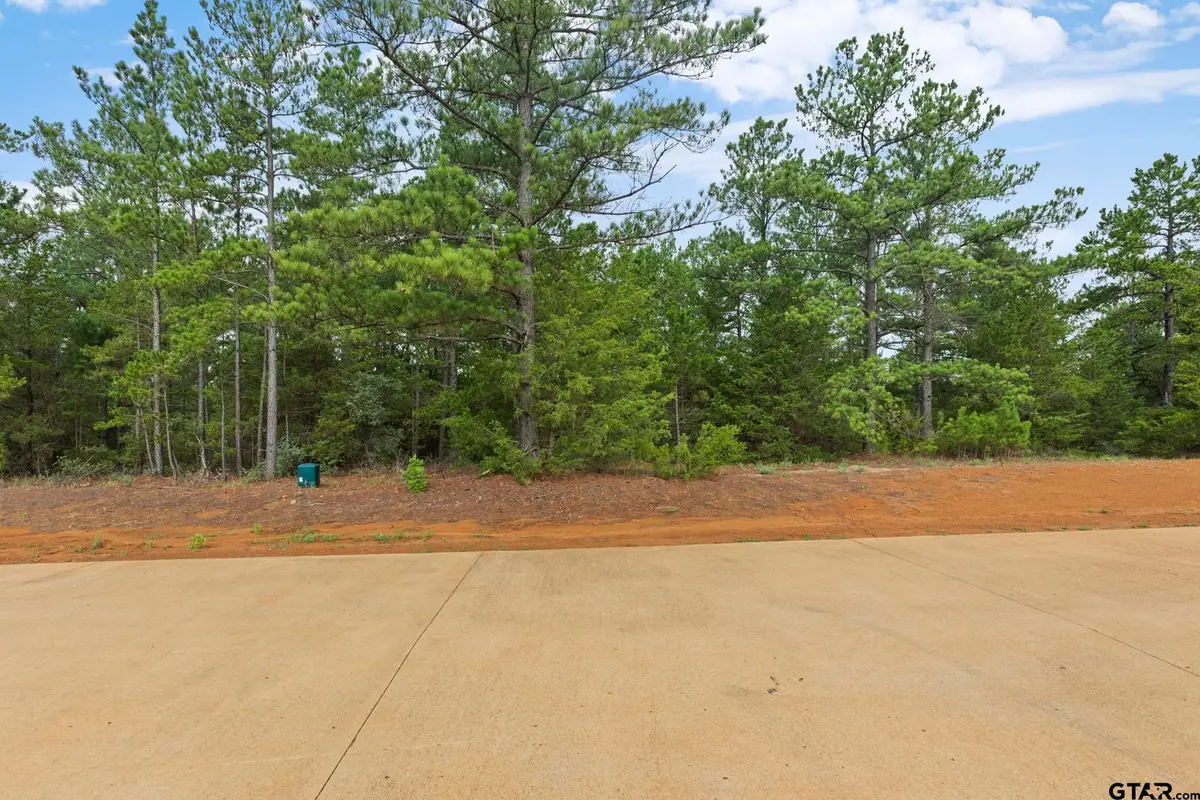 15483 Prayer Mountain Ct, Lindale, TX 75771 - #1