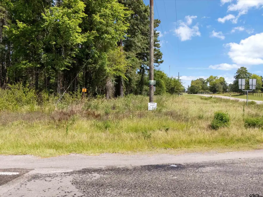 Tract 4 Fm 1002, Big Sandy, TX 75755 - #3