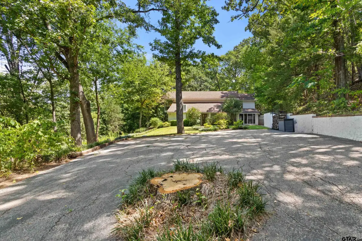 20678 Fm 16, Lindale, TX 75771 - #1