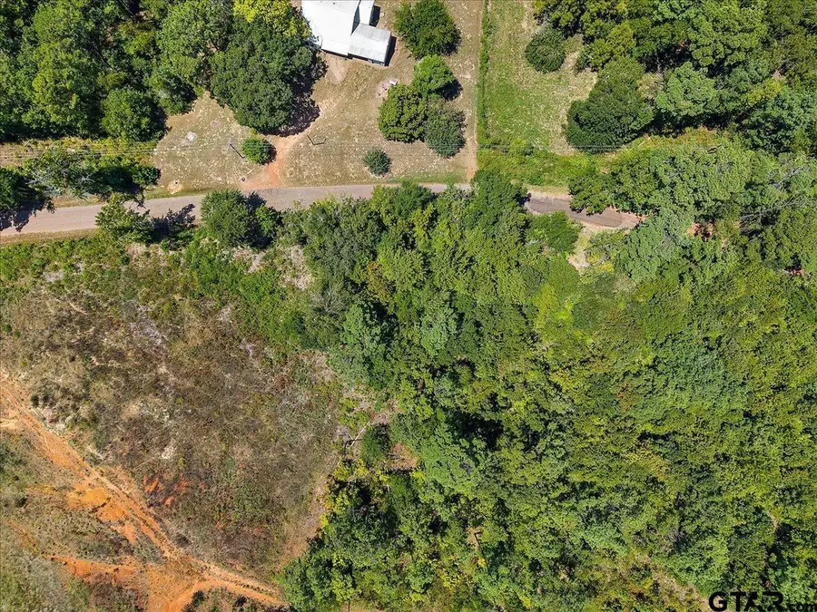 TBD Cr 1201, Rusk, TX 75785 - #2