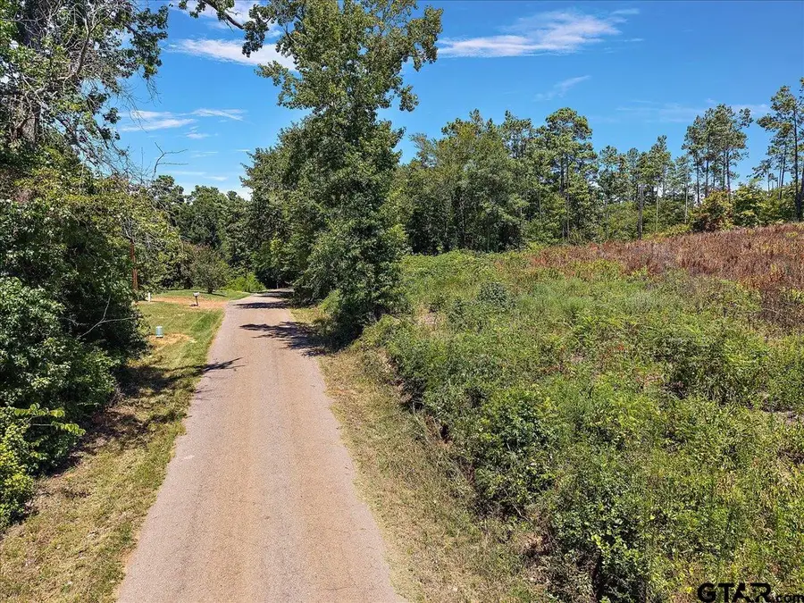 TBD Cr 1201, Rusk, TX 75785 - #3