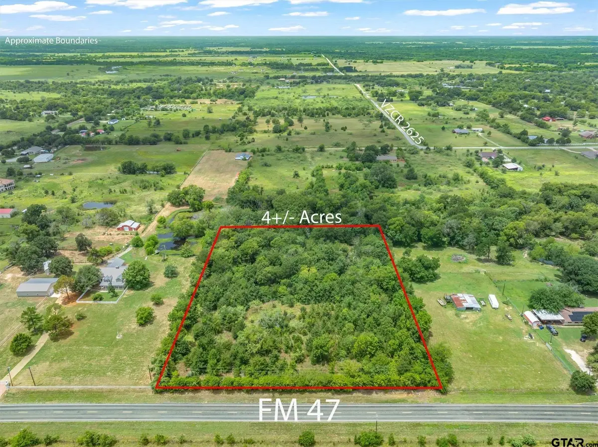Lot 19 & 20 Fm 47, Wills Point, TX 75169 - #1
