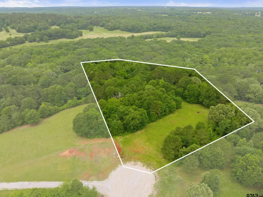 17308 Pius Pl S., Winona, TX 75792 - #2