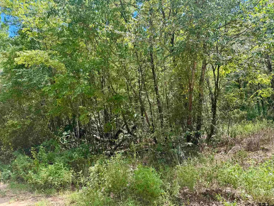 TBD Cr 4545, Kennard, TX 75847 - #3