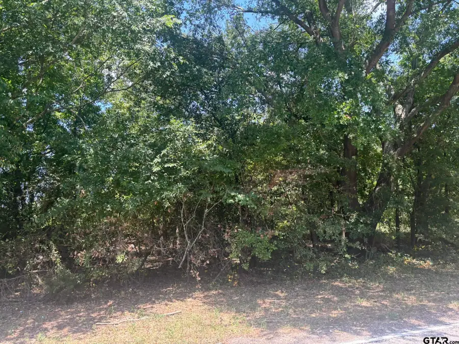 TBD Fm 993, Pittsburg, TX 75686 - #2