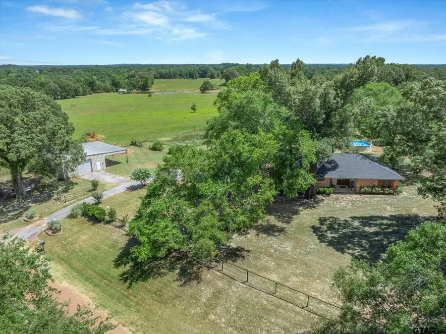 838 Vz County Road 4404, Ben Wheeler, TX 75754 - #3
