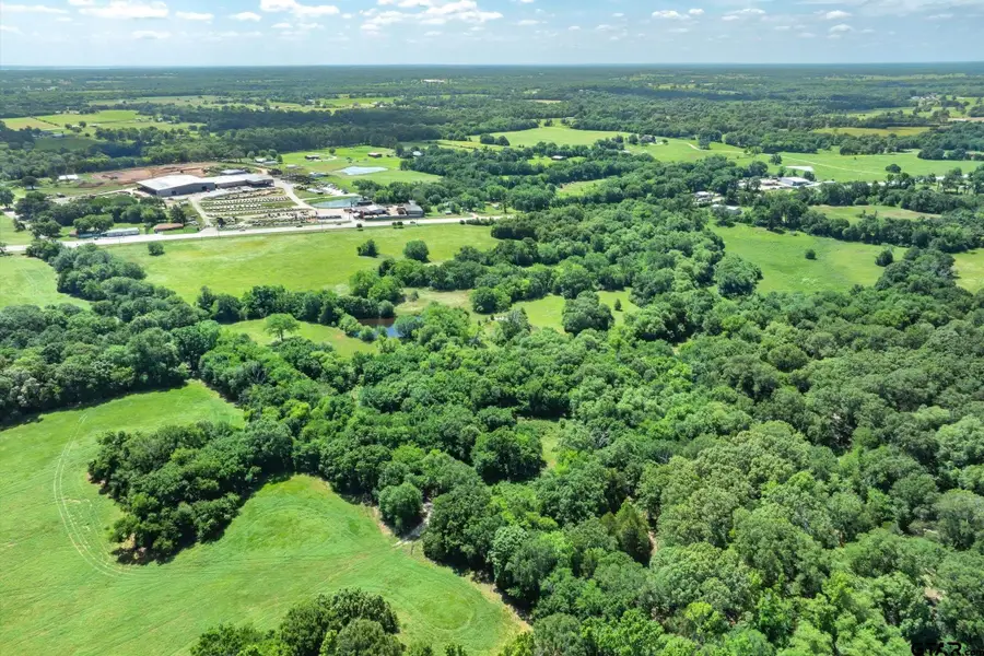 Lot 6 Rs Cr 1150, Emory, TX 75440 - #2