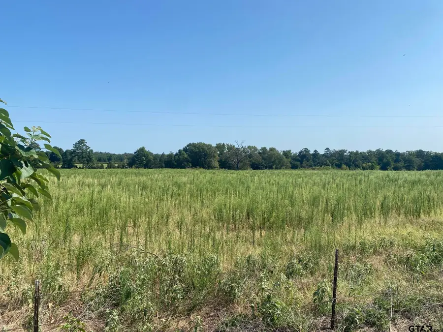 000 Cr 1323, Pittsburg, TX 75686 - #3