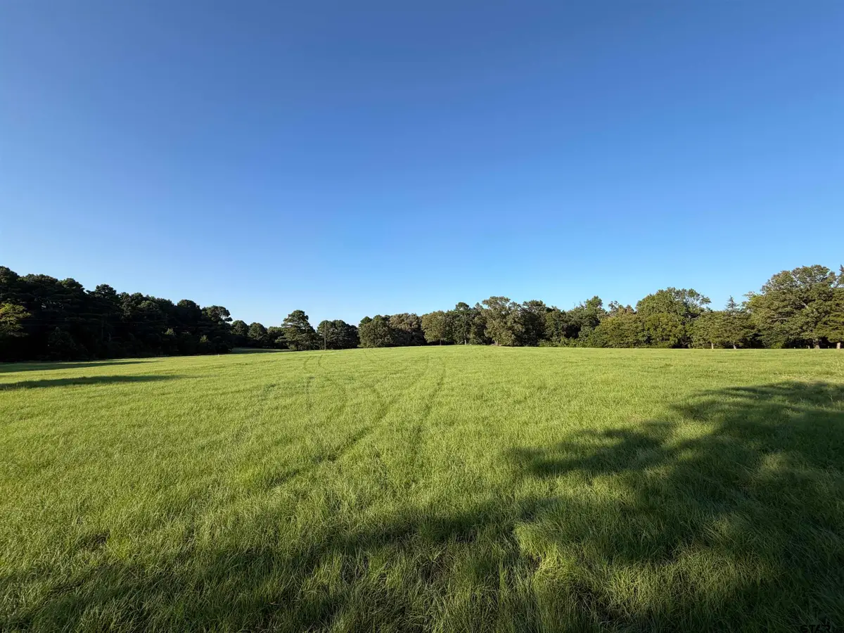TBD Hwy 144, Omaha, TX 75571 - #1