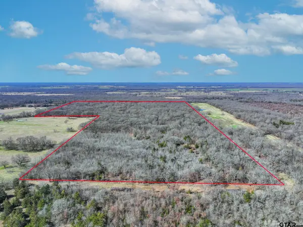000 Ne County Road 2160, Mt Vernon,  75457