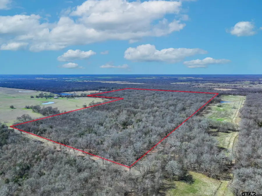 000 Ne County Road 2160, Mount Vernon, TX 75457 - #3