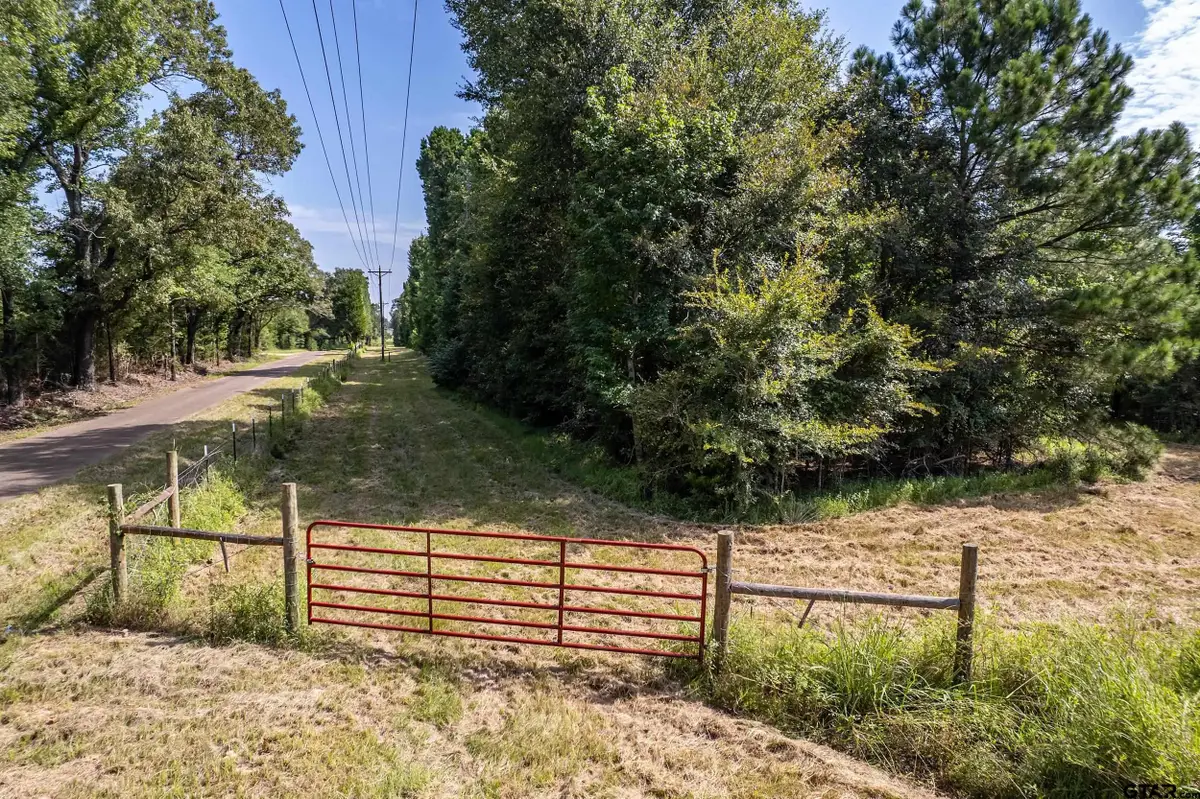 TBD Cr 2115, Troup, TX 75789 - #1