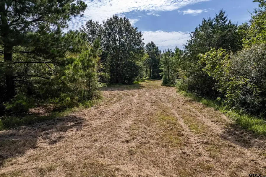 TBD Cr 2115, Troup, TX 75789 - #3
