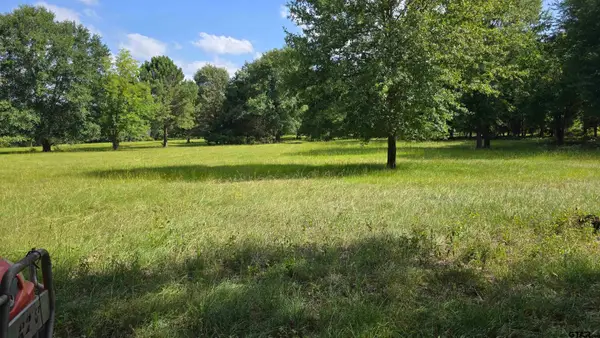 22695 County Road 223, Arp,  75750