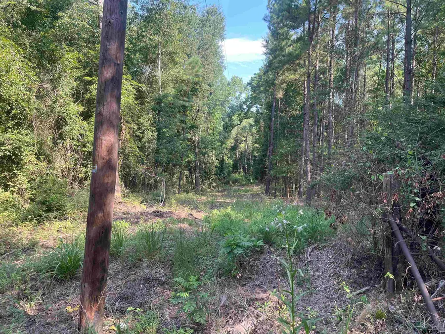 TBD County Road 3303, Jacksonville, TX 75766 - #3