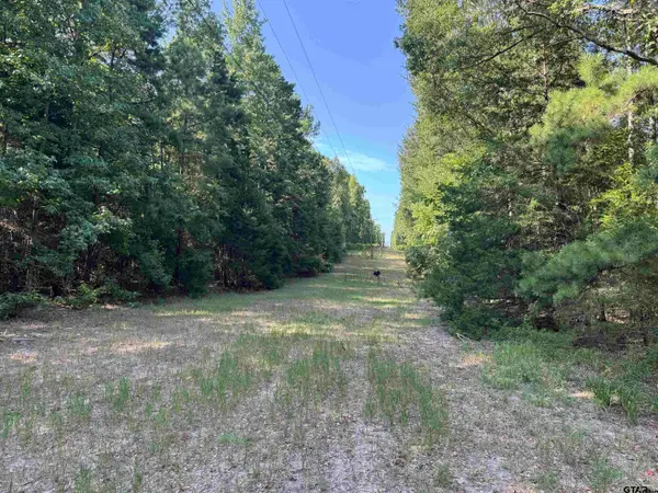 1301 An County Road 3552, Palestine, TX 75803
