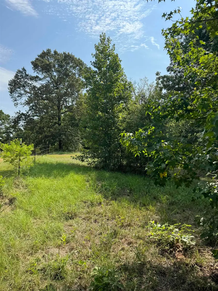 1301 An County Road 3552, Palestine, TX 75803 - #3