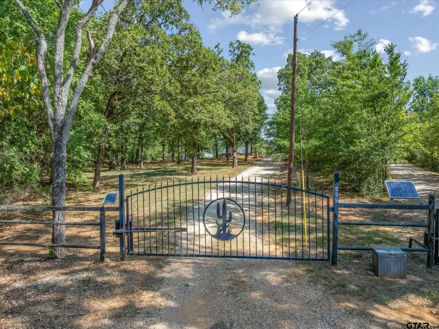 299 Vz County Road 1716, Grand Saline, TX 75140 - #2