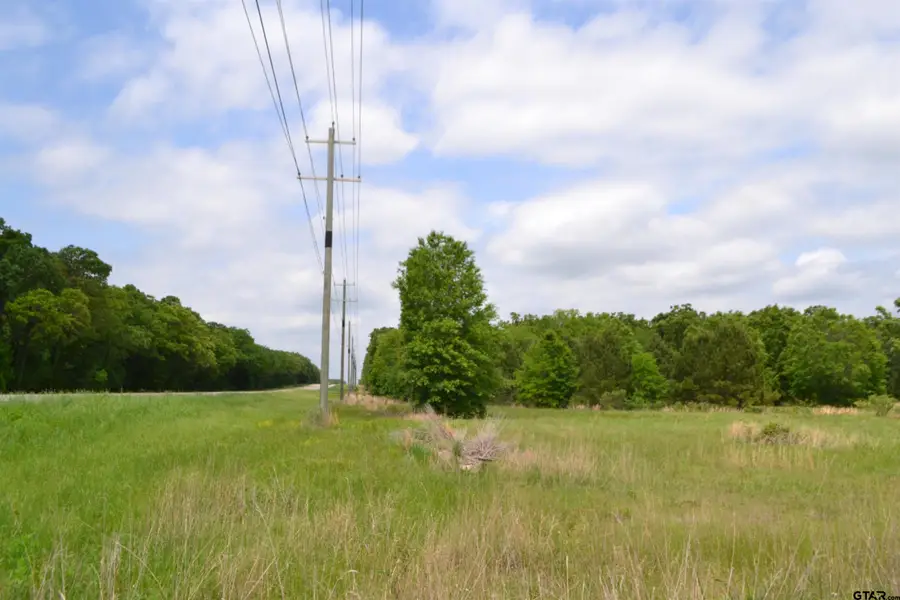 TBD Hwy 69, Alba, TX 75410 - #3