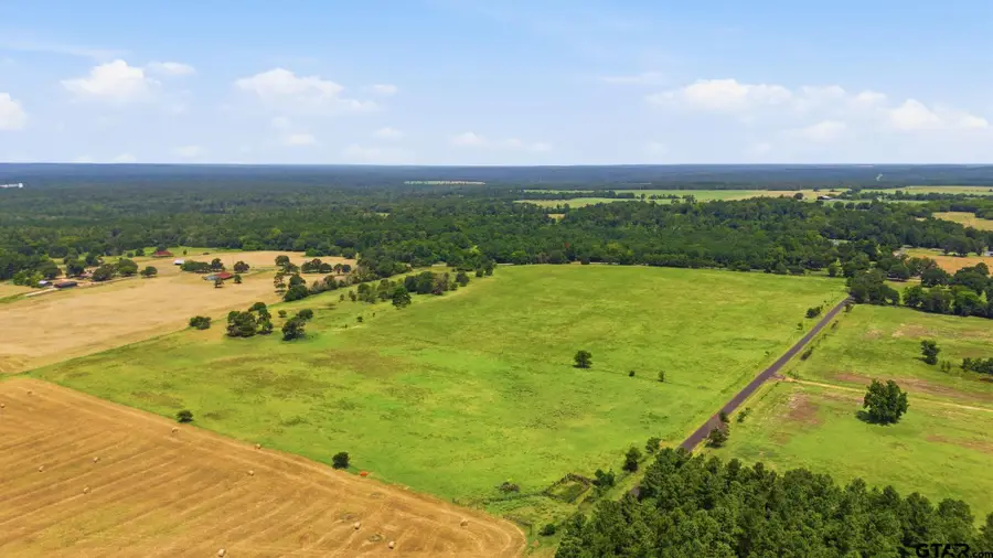 Lot 1 Fm 1792, Big Sandy, TX 75755 - #3