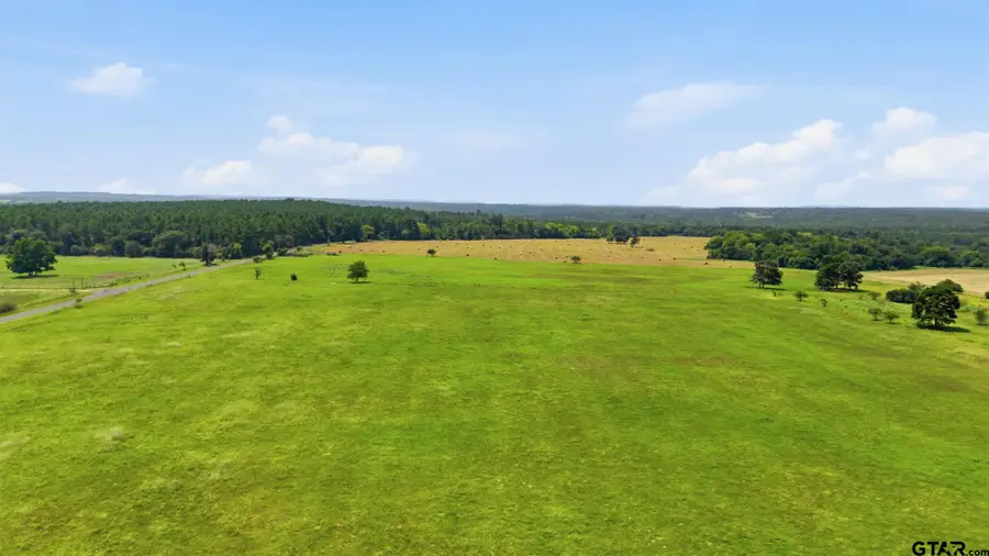Lot 3 County Road 3689, Big Sandy, TX 75755 - #2