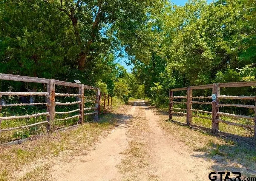 2843 Vz County Road 4702, Ben Wheeler, TX 75754 - #2