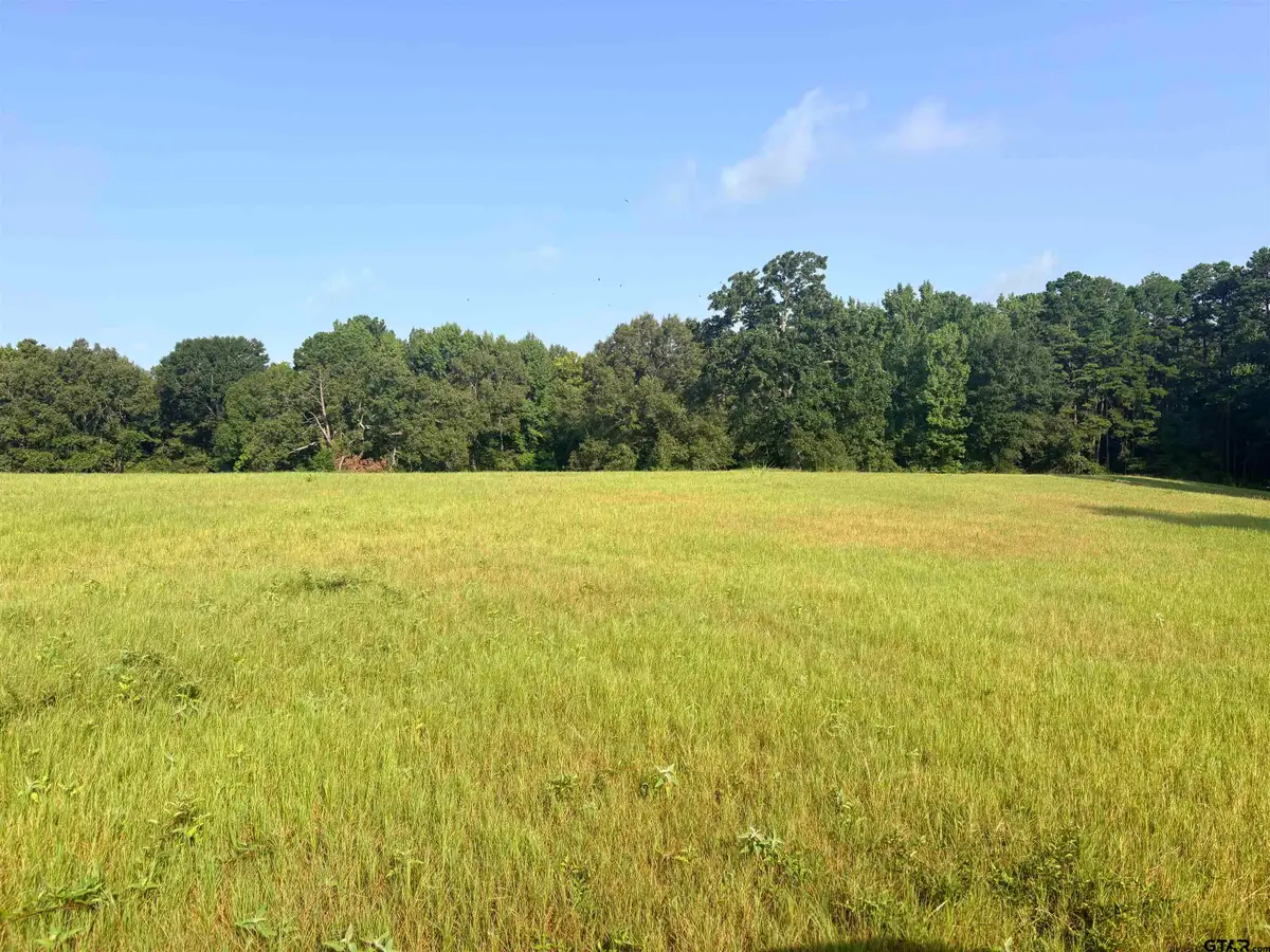 LOT 10 3.383 Acres Fm 15 & County Road 2166, Troup, TX 75789 - #1