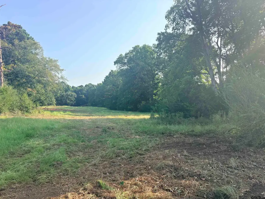 LOT 10 3.383 Acres Fm 15 & County Road 2166, Troup, TX 75789 - #2