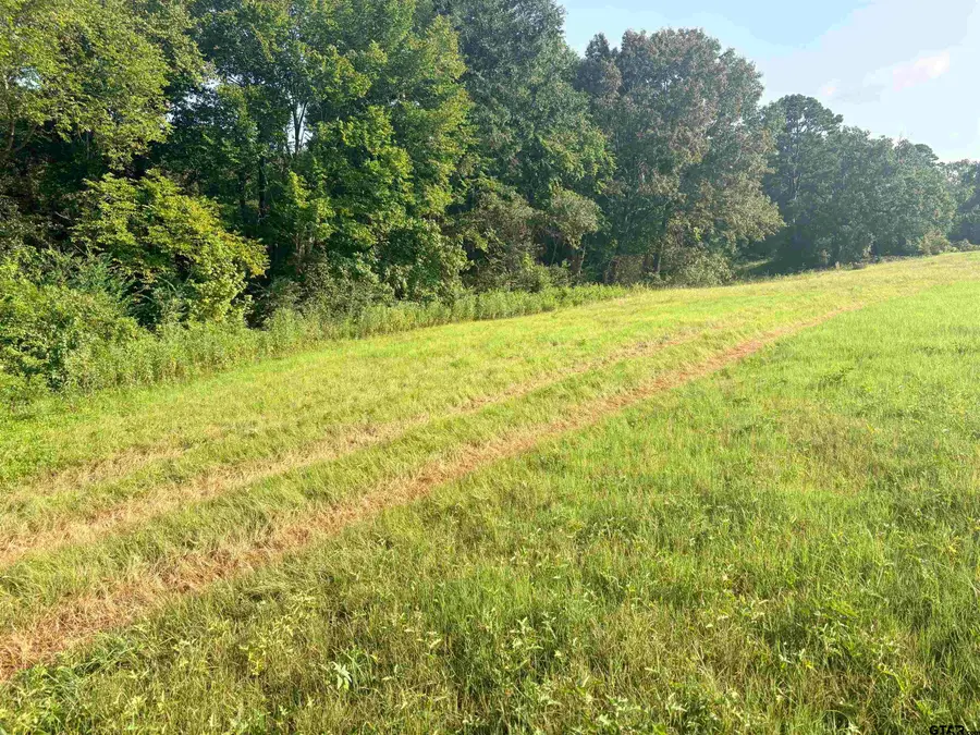 LOT 10 3.383 Acres Fm 15 & County Road 2166, Troup, TX 75789 - #3