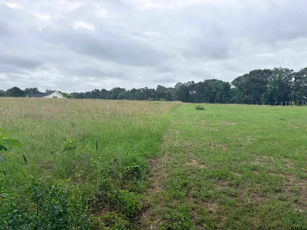 TBD LOT 2 County Road 401, Henderson,  75654