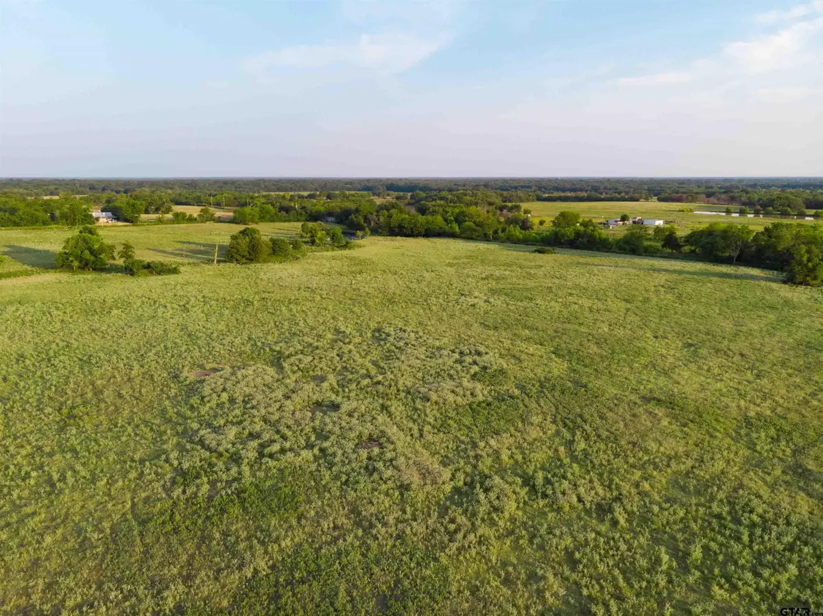 TBD Cr 3356, Saltillo, TX 75478 - #1
