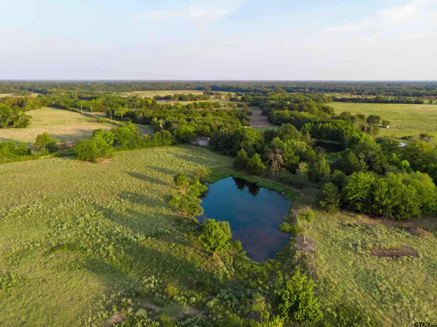 TBD Cr 3356, Saltillo, TX 75478 - #2