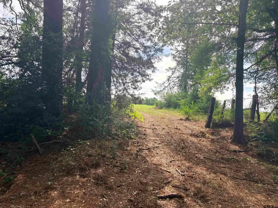 tbd 7.17 acres Fm 856, Troup, TX 75789 - #2
